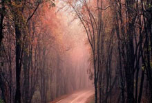 5连胜第一!女排又一21岁主攻崛起:5战轰111分变李盈莹新绝配?.