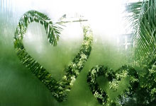 复仇战!郑钦文曾在19年迈阿密输汤森德,当时16.