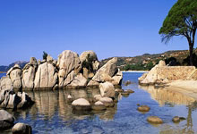 必赢亚洲官网：[英超]拉亚屡献神扑 “枪手”客平“红魔”.